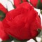 Red Rose Spray - 48-Pack, 5 Lifelike Silk Flowers Per Stem, Elegant Floral Décor, Perfect for Arrangements, Events & Home - Ideal for All Seasons, Floral Home by Artificial Flowers